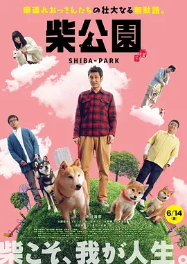 欧美午夜一区二区福利视频