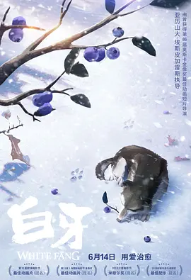 艾秋果冻麻豆老狼