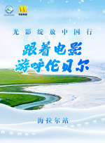 h310m主板支持的内存