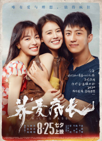 欧美又粗又长