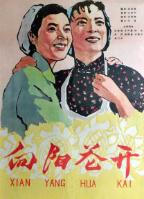 欧美在线视频导航