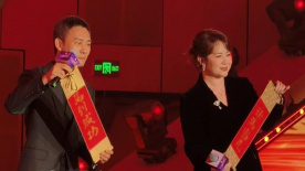 国内精品一区视频在线播放